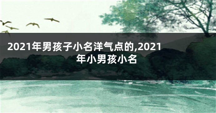 2021年男孩子小名洋气点的,2021年小男孩小名