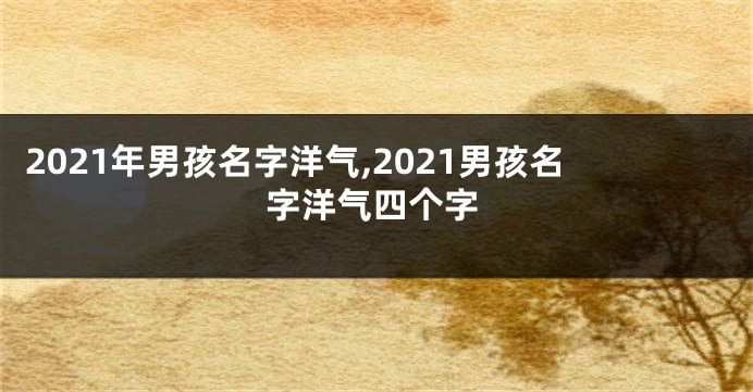 2021年男孩名字洋气,2021男孩名字洋气四个字