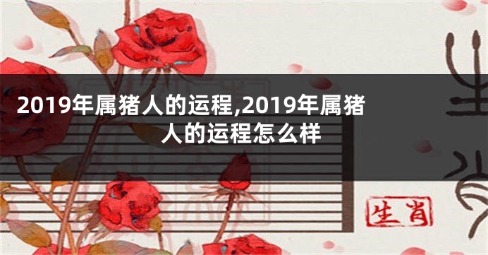 2019年属猪人的运程,2019年属猪人的运程怎么样