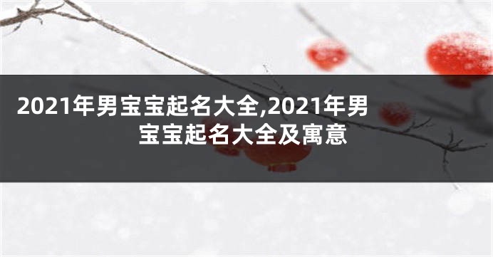 2021年男宝宝起名大全,2021年男宝宝起名大全及寓意