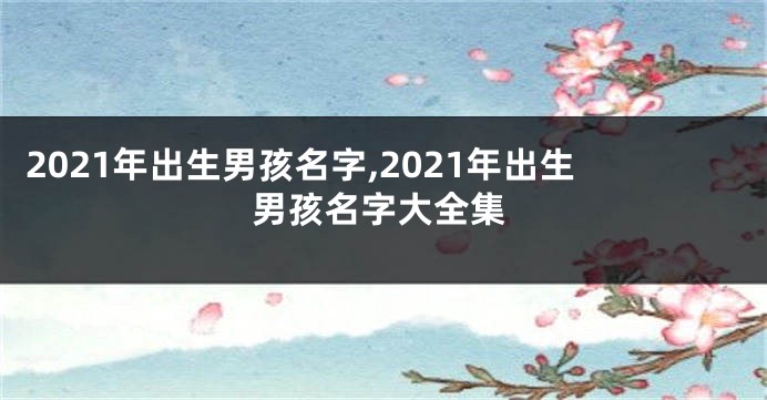 2021年出生男孩名字,2021年出生男孩名字大全集