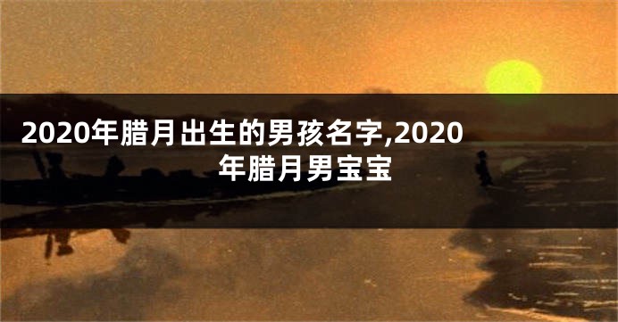 2020年腊月出生的男孩名字,2020年腊月男宝宝