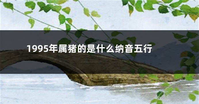 1995年属猪的是什么纳音五行