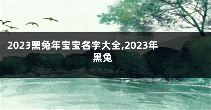 2023黑兔年宝宝名字大全,2023年 黑兔