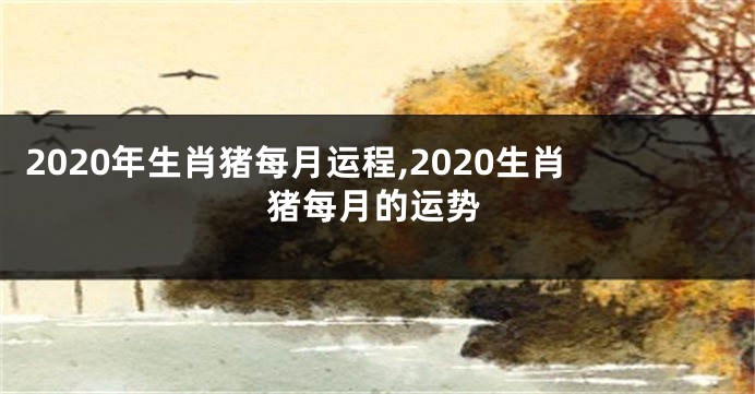 2020年生肖猪每月运程,2020生肖猪每月的运势
