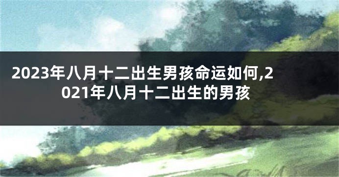 2023年八月十二出生男孩命运如何,2021年八月十二出生的男孩