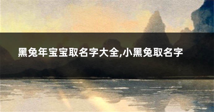 黑兔年宝宝取名字大全,小黑兔取名字