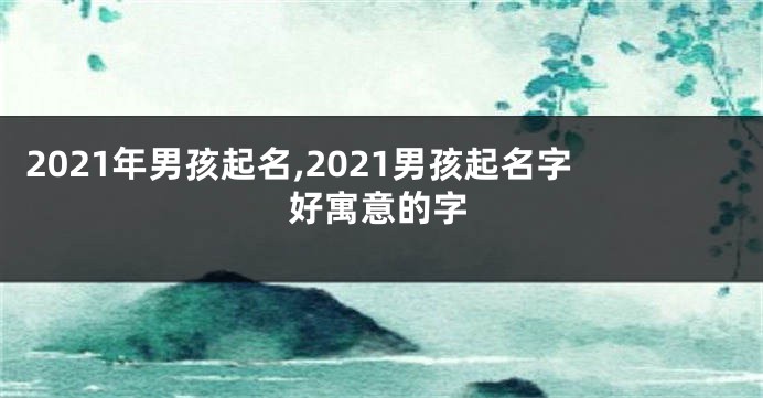2021年男孩起名,2021男孩起名字好寓意的字