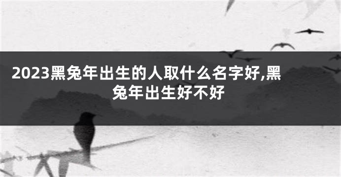 2023黑兔年出生的人取什么名字好,黑兔年出生好不好
