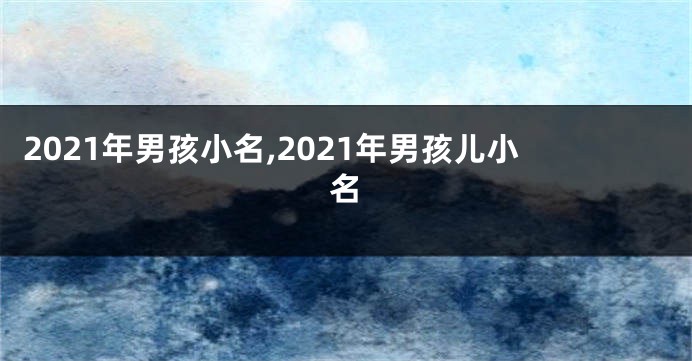 2021年男孩小名,2021年男孩儿小名
