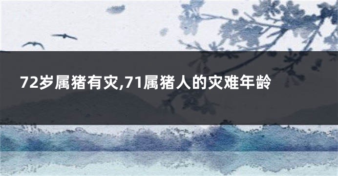 72岁属猪有灾,71属猪人的灾难年龄