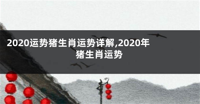 2020运势猪生肖运势详解,2020年猪生肖运势
