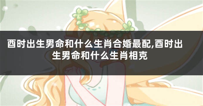 酉时出生男命和什么生肖合婚最配,酉时出生男命和什么生肖相克