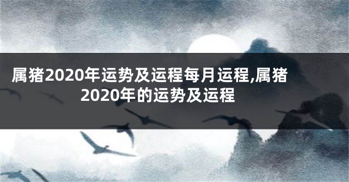 属猪2020年运势及运程每月运程,属猪2020年的运势及运程