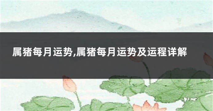 属猪每月运势,属猪每月运势及运程详解