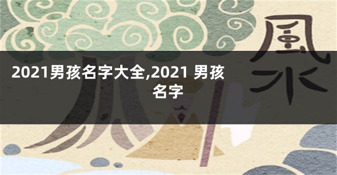 2021男孩名字大全,2021 男孩 名字