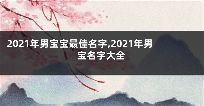 2021年男宝宝最佳名字,2021年男宝名字大全