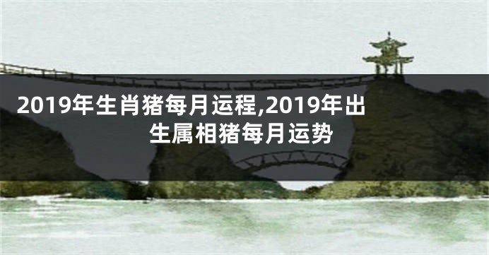 2019年生肖猪每月运程,2019年出生属相猪每月运势