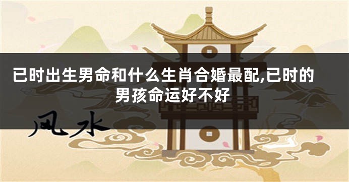 已时出生男命和什么生肖合婚最配,已时的男孩命运好不好