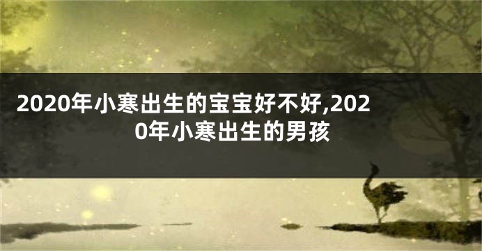 2020年小寒出生的宝宝好不好,2020年小寒出生的男孩