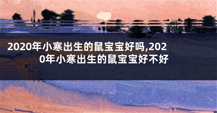 2020年小寒出生的鼠宝宝好吗,2020年小寒出生的鼠宝宝好不好