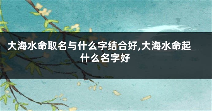 大海水命取名与什么字结合好,大海水命起什么名字好