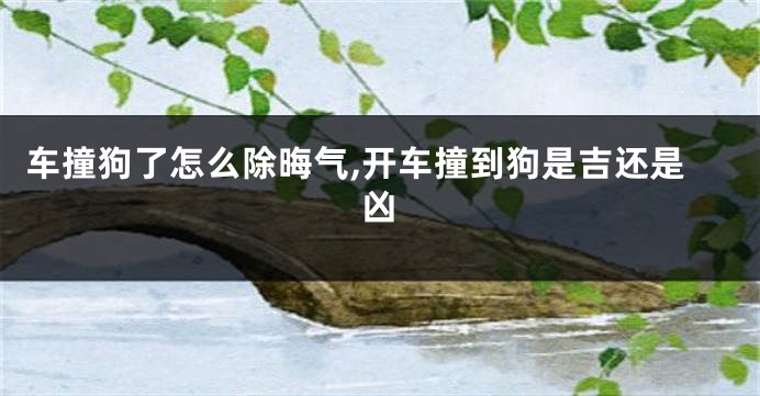 车撞狗了怎么除晦气,开车撞到狗是吉还是凶