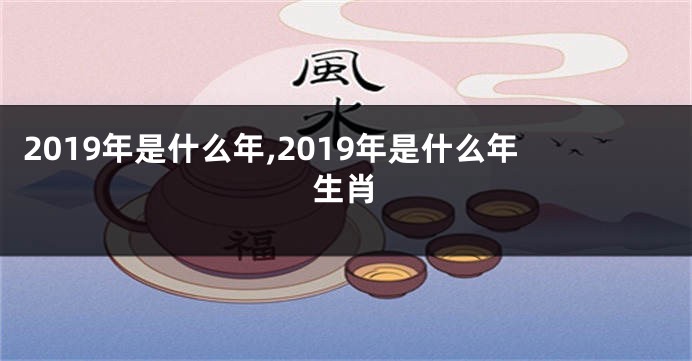 2019年是什么年,2019年是什么年生肖