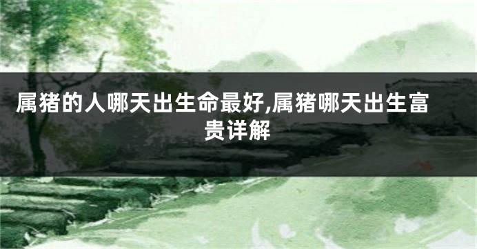 属猪的人哪天出生命最好,属猪哪天出生富贵详解