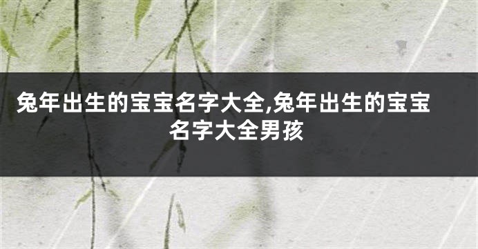 兔年出生的宝宝名字大全,兔年出生的宝宝名字大全男孩