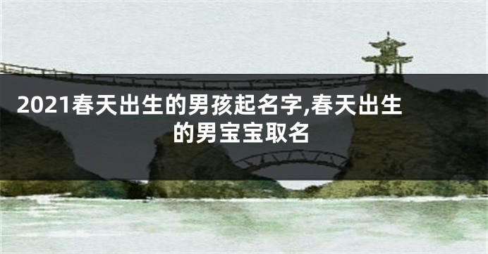 2021春天出生的男孩起名字,春天出生的男宝宝取名