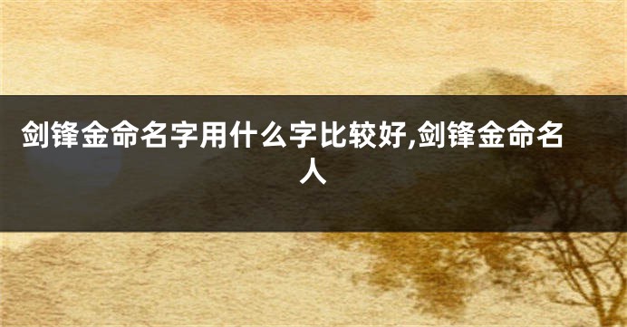 剑锋金命名字用什么字比较好,剑锋金命名人