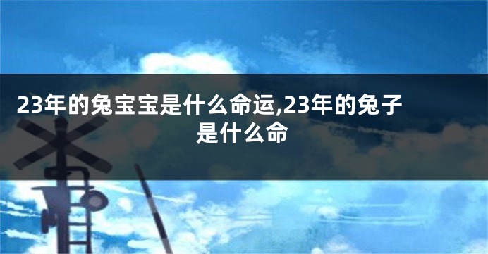 23年的兔宝宝是什么命运,23年的兔子是什么命