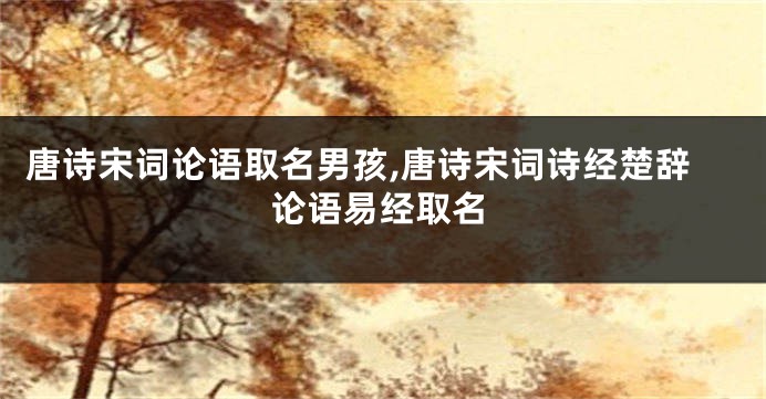 唐诗宋词论语取名男孩,唐诗宋词诗经楚辞论语易经取名