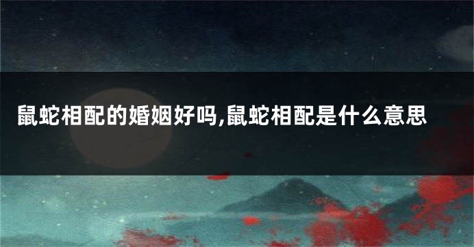 鼠蛇相配的婚姻好吗,鼠蛇相配是什么意思
