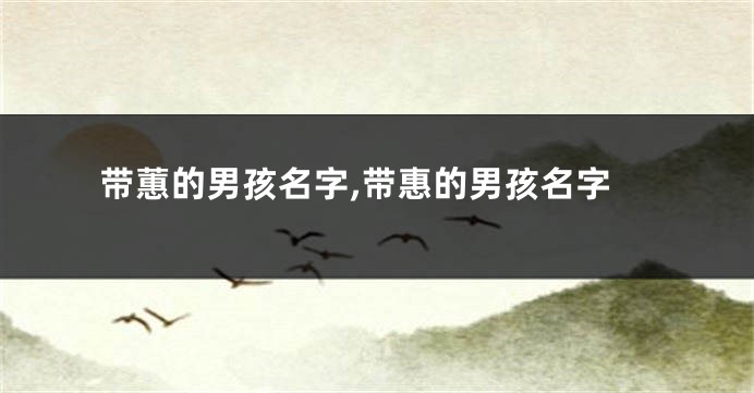 带蕙的男孩名字,带惠的男孩名字