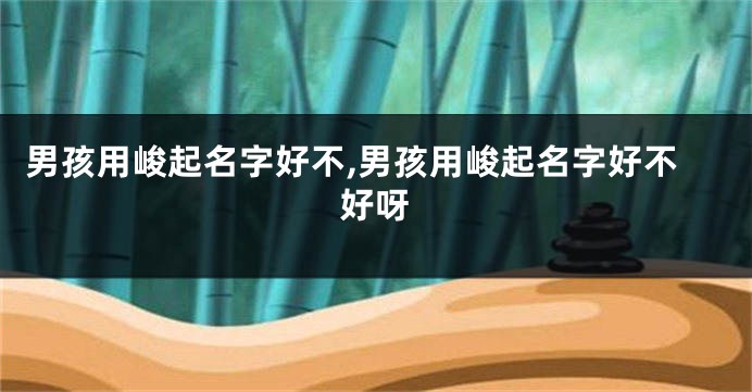 男孩用峻起名字好不,男孩用峻起名字好不好呀