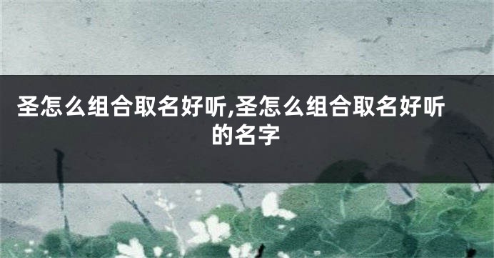 圣怎么组合取名好听,圣怎么组合取名好听的名字