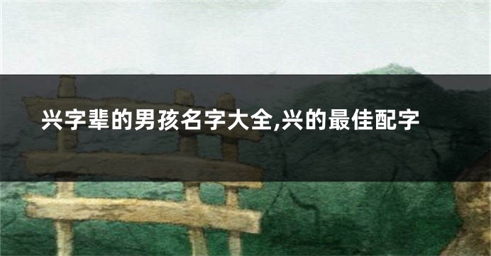 兴字辈的男孩名字大全,兴的最佳配字