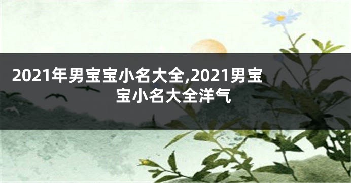 2021年男宝宝小名大全,2021男宝宝小名大全洋气