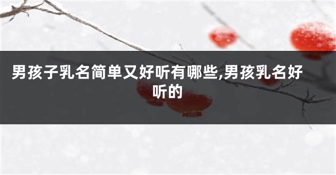 男孩子乳名简单又好听有哪些,男孩乳名好听的