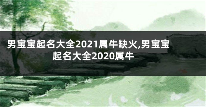 男宝宝起名大全2021属牛缺火,男宝宝起名大全2020属牛