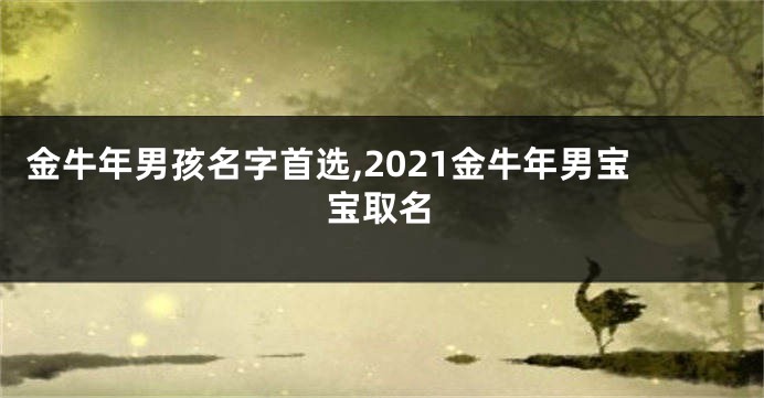 金牛年男孩名字首选,2021金牛年男宝宝取名