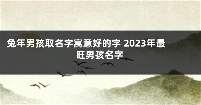 兔年男孩取名字寓意好的字 2023年最旺男孩名字