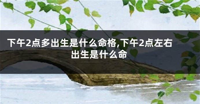 下午2点多出生是什么命格,下午2点左右出生是什么命