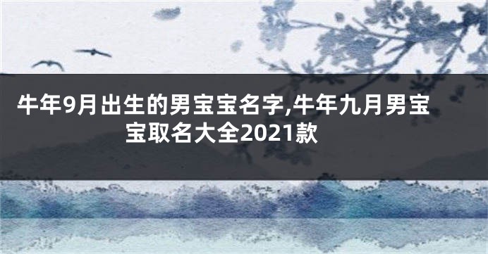 牛年9月出生的男宝宝名字,牛年九月男宝宝取名大全2021款