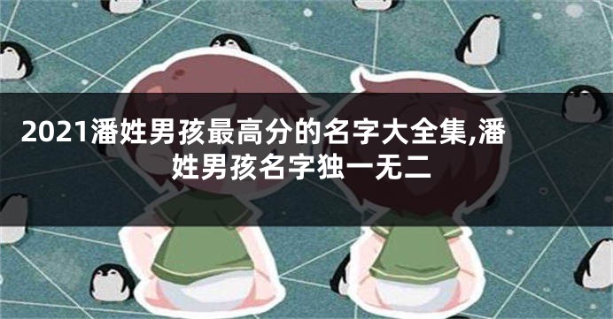 2021潘姓男孩最高分的名字大全集,潘姓男孩名字独一无二