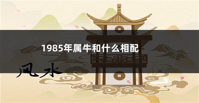 1985年属牛和什么相配