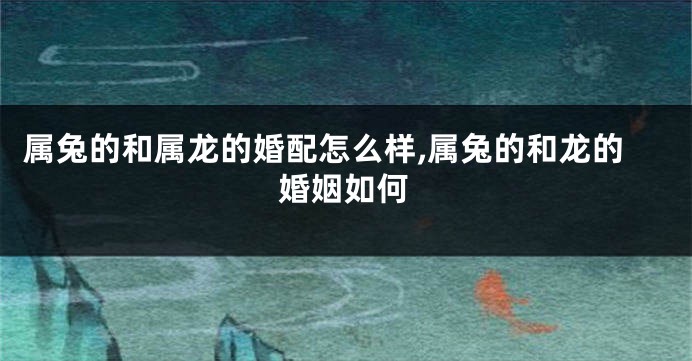 属兔的和属龙的婚配怎么样,属兔的和龙的婚姻如何