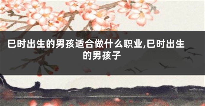 巳时出生的男孩适合做什么职业,巳时出生的男孩子